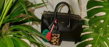 BCBG